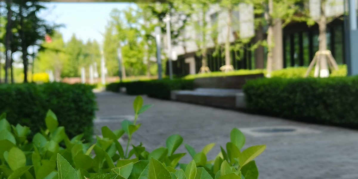 书香午餐项目正式开启